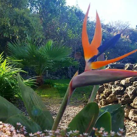 Primavera Peqa Apartamento Genovés